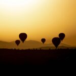 timur-garifov-di6SWvEmzZA-unsplash